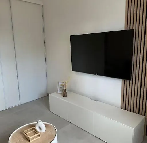 Les Lotus - Joli F2 Renove דירה סומור