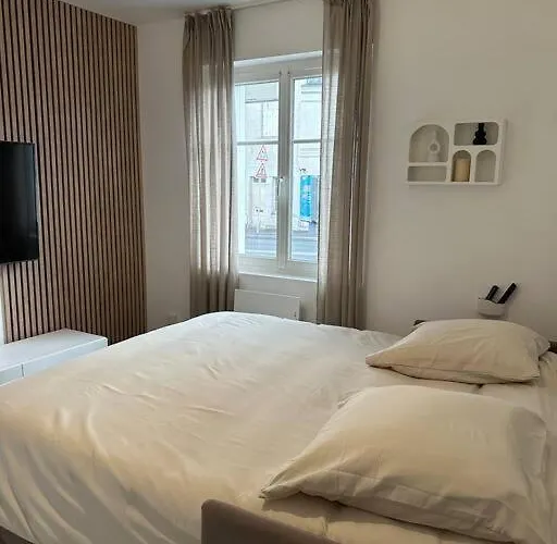 Les Lotus - Joli F2 Renove * סומור